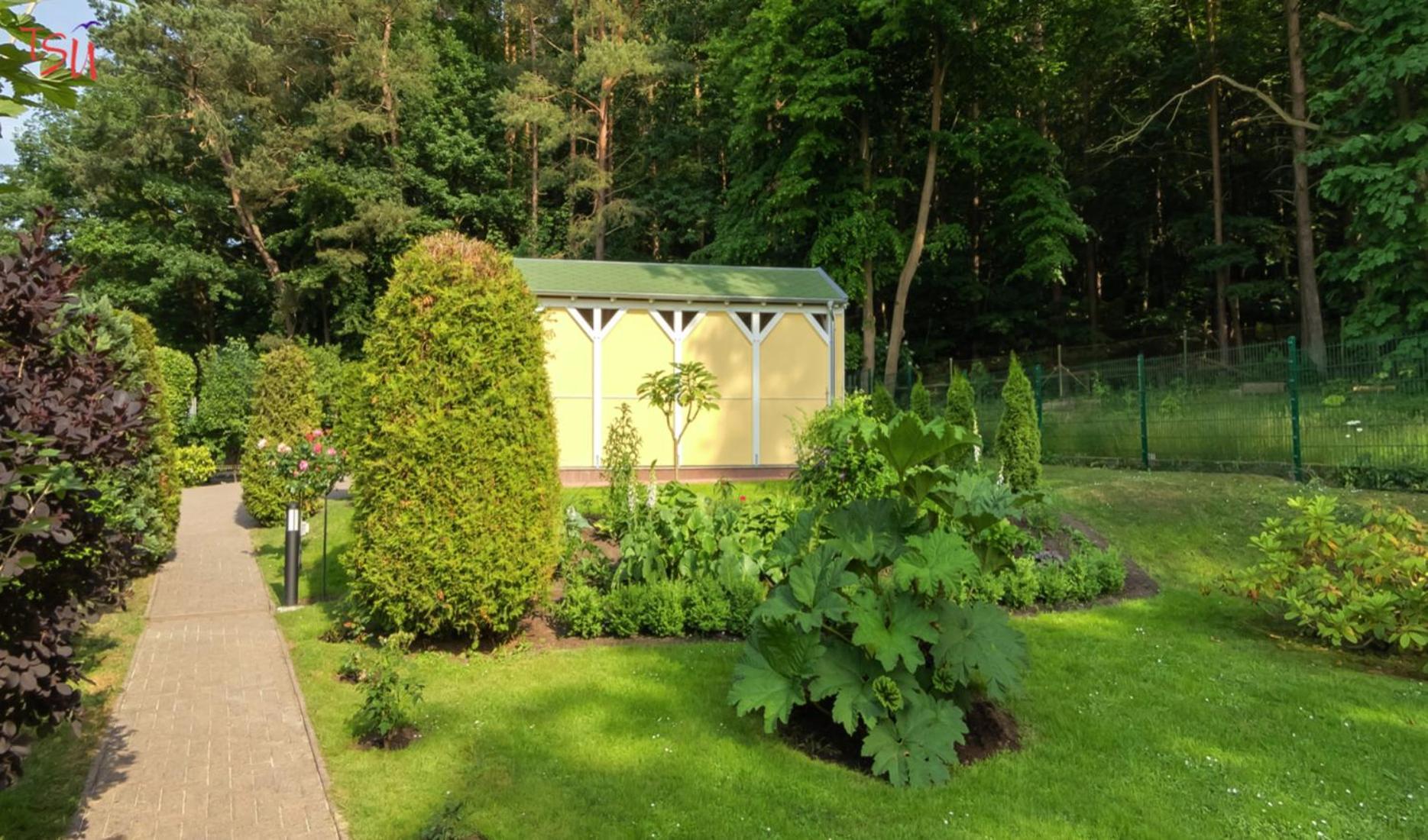 Апартаменти Haus Am Wald Герінгсдорф Екстер'єр фото